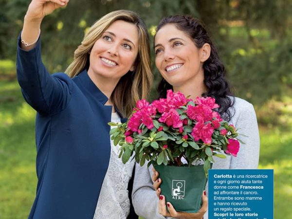 azalea-della-ricerca